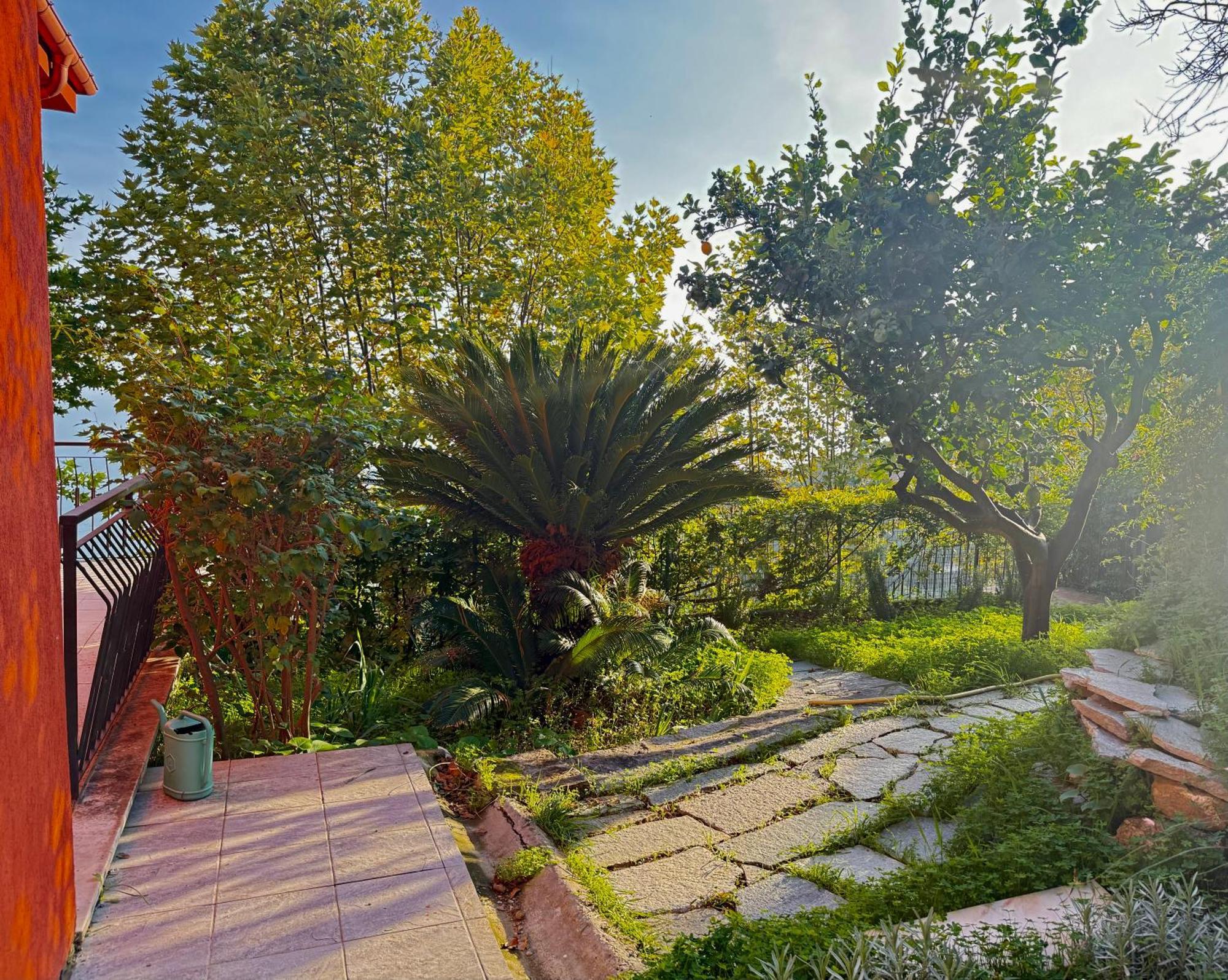 Villa Cielo Costarainera Exterior foto